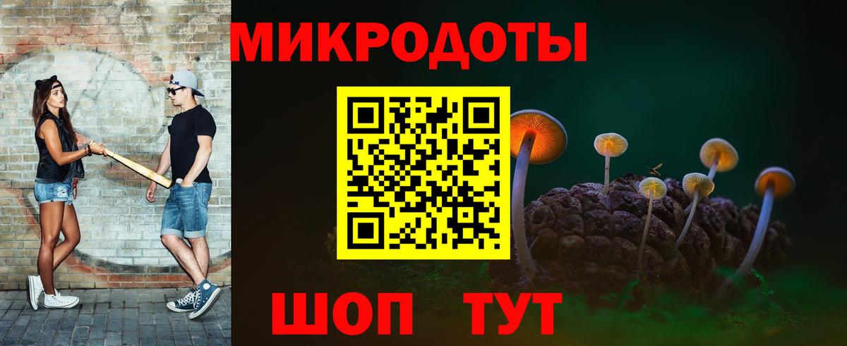 Псилоцибиновые грибы Psilocybe Шахты