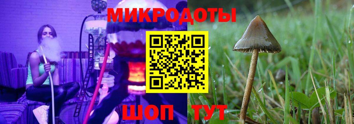 Галлюциногенные грибы Psilocybine cubensis  магазин  наркотиков  Шахты  Псилоцибиновые грибы Psilocybine cubensis  Вход с VPN 