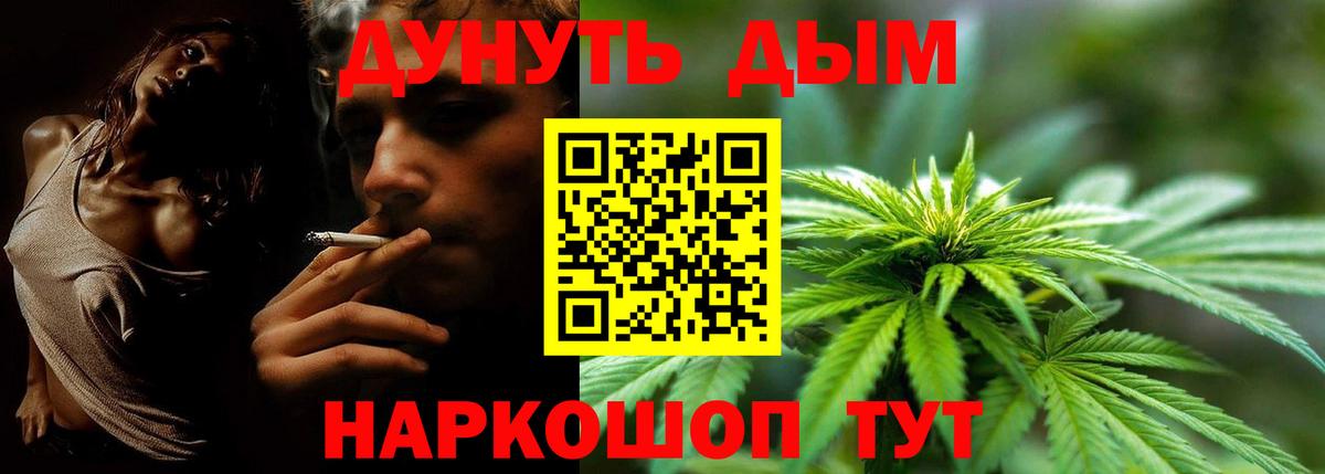 Бошки марихуана сатива  Канабис тримм  Вход с VPN  Марихуана планчик  Конопля конопля  Шахты 